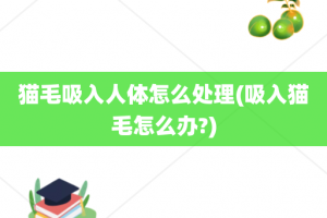 猫毛吸入人体怎么处理(吸入猫毛怎么办?)