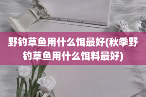 野钓草鱼用什么饵最好(秋季野钓草鱼用什么饵料最好)