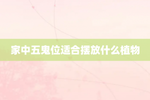 家中五鬼位适合摆放什么植物