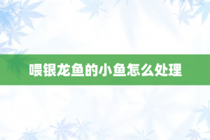 喂银龙鱼的小鱼怎么处理