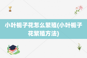 小叶栀子花怎么繁殖(小叶栀子花繁殖方法)