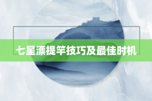 七星漂提竿技巧及最佳时机