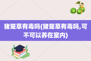 猪笼草有毒吗(猪笼草有毒吗,可不可以养在室内)