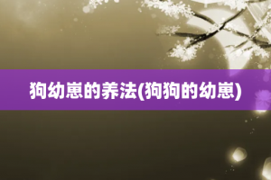 狗幼崽的养法(狗狗的幼崽)