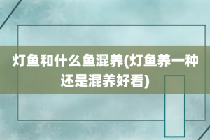 灯鱼和什么鱼混养(灯鱼养一种还是混养好看)