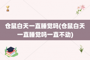 仓鼠白天一直睡觉吗(仓鼠白天一直睡觉吗一直不动)