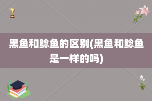 黑鱼和鲶鱼的区别(黑鱼和鲶鱼是一样的吗)
