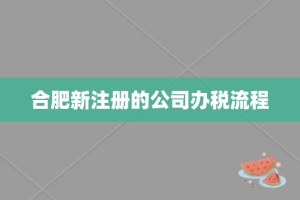合肥新注册的公司办税流程