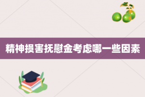 精神损害抚慰金考虑哪一些因素