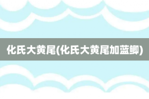 化氏大黄尾(化氏大黄尾加蓝鲫)