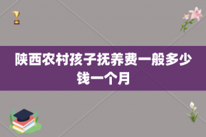 陕西农村孩子抚养费一般多少钱一个月