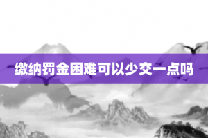 缴纳罚金困难可以少交一点吗