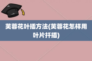 芙蓉花叶插方法(芙蓉花怎样用叶片扦插)