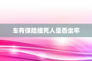 车有保险撞死人是否坐牢