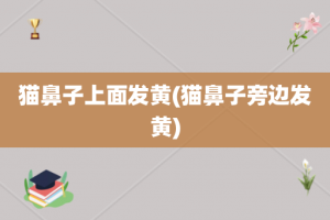 猫鼻子上面发黄(猫鼻子旁边发黄)