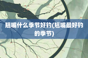 翘嘴什么季节好钓(翘嘴最好钓的季节)