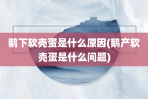 鹅下软壳蛋是什么原因(鹅产软壳蛋是什么问题)