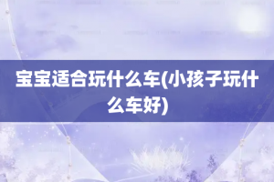 宝宝适合玩什么车(小孩子玩什么车好)