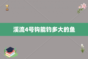 溪流4号钩能钓多大的鱼