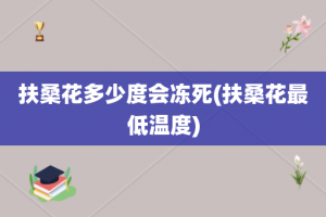 扶桑花多少度会冻死(扶桑花最低温度)