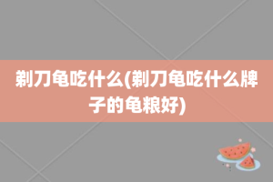 剃刀龟吃什么(剃刀龟吃什么牌子的龟粮好)