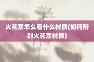 火花塞怎么看什么材质(如何辨别火花塞材质)