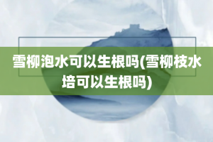 雪柳泡水可以生根吗(雪柳枝水培可以生根吗)