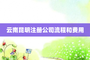 云南昆明注册公司流程和费用