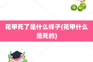 花甲死了是什么样子(花甲什么是死的)