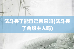 法斗丢了能自己回来吗(法斗丢了会想主人吗)