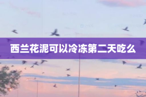 西兰花泥可以冷冻第二天吃么