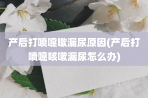 产后打喷嚏嗽漏尿原因(产后打喷嚏咳嗽漏尿怎么办)