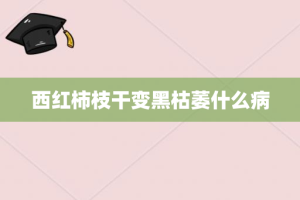 西红柿枝干变黑枯萎什么病
