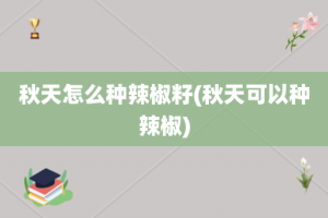 秋天怎么种辣椒籽(秋天可以种辣椒)