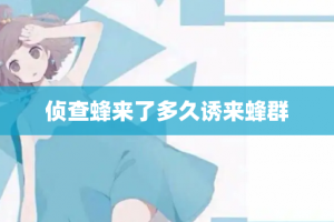 侦查蜂来了多久诱来蜂群