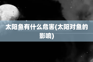 太阳鱼有什么危害(太阳对鱼的影响)