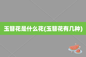 玉簪花是什么花(玉簪花有几种)