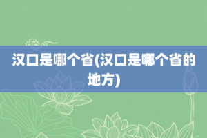 汉口是哪个省(汉口是哪个省的地方)