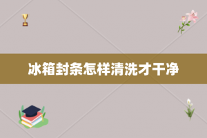 冰箱封条怎样清洗才干净