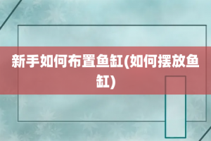 新手如何布置鱼缸(如何摆放鱼缸)