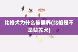 比格犬为什么被禁养(比格是不是禁养犬)