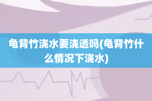 龟背竹浇水要浇透吗(龟背竹什么情况下浇水)