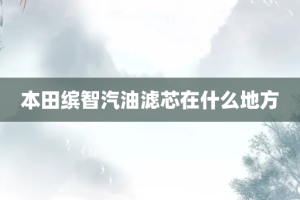 本田缤智汽油滤芯在什么地方