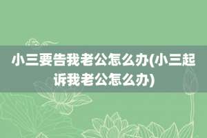 小三要告我老公怎么办(小三起诉我老公怎么办)