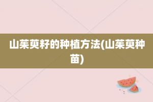 山茱萸籽的种植方法(山茱萸种苗)