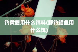 钓黄鳝用什么饵料(野钓鳝鱼用什么饵)