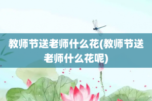 教师节送老师什么花(教师节送老师什么花呢)