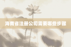 海南省注册公司需要哪些步骤