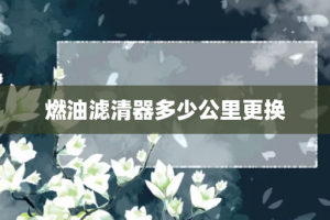 燃油滤清器多少公里更换