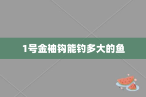 1号金袖钩能钓多大的鱼